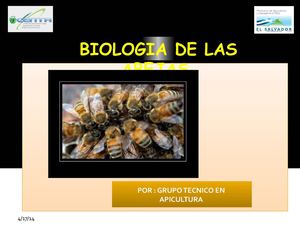 BIOLOGÍA DE LAS ABEJAS