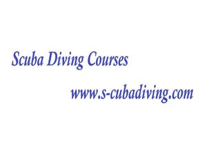 Scuba Diving Courses - www.s-cubadiving.com