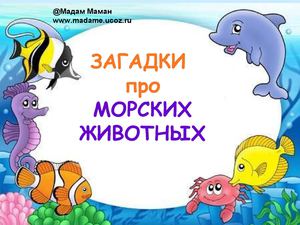 загадки морские животніе