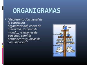ORGANIGRAMAS
