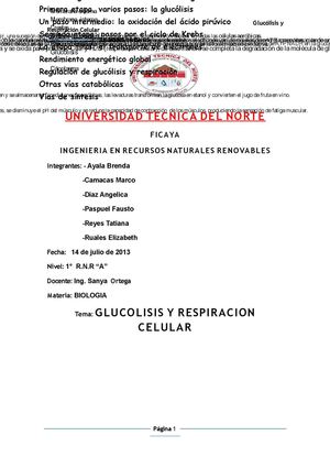 Glucólisis y Respiración celular