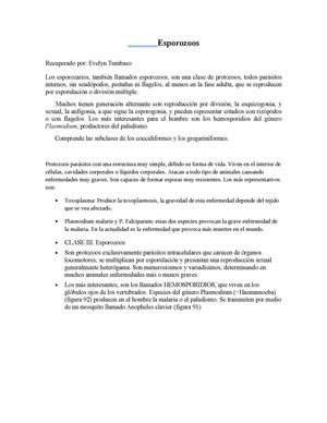 ESPOROZOOS Y COCCIDIAS