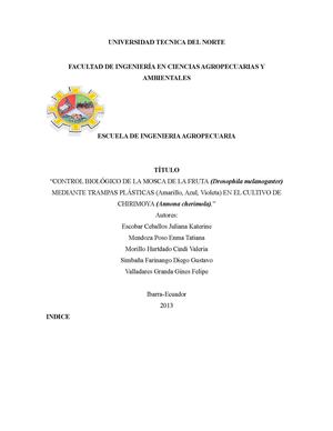 MOSCA DE LA FRUTA EN EL CULTIVO DE CHIRIMOYA