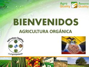 Agricultura Organica