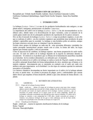 PRODUCCION DE LECHUGAS