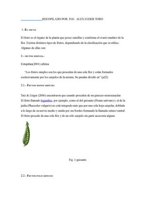 EL FRUTO Y SUS TIPOS 