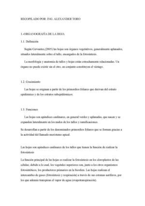 ORGANOGRAFIA DE LA HOJA 