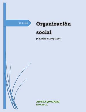 cuadro sinoptico de la organizacion social.