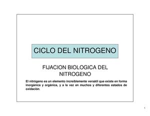 ciclo Nitrogeno