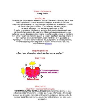 El cerebro como estudio...