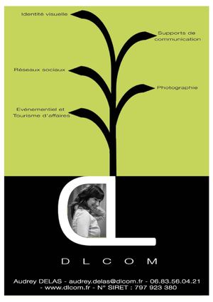 Book DLCOM - Développement ludique de la communication