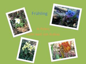 Polnischer Frühling in Beskidy-Gebirge by Ula&Julia