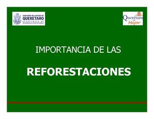 IMPORTANCIA DE LA REFORESTACION
