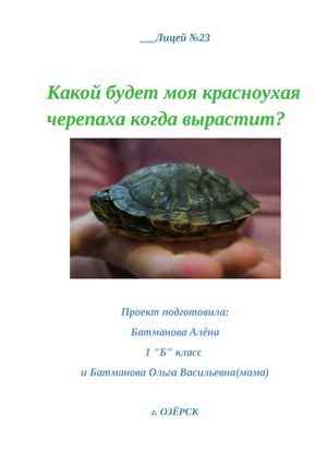 Проект "Какой будет моя красноухая черепаха когда вырастит?"