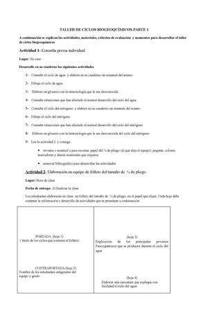 actividad en equipo para grado11-ciclos biogeoquimicos