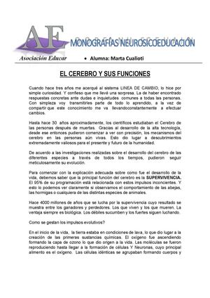 EL CEREBRO Y SUS FUNCIONES