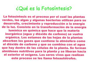 la fotosintesis
