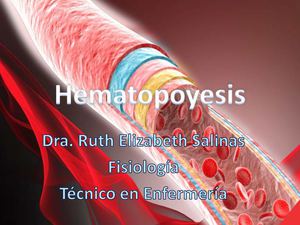 Hematopoyesis