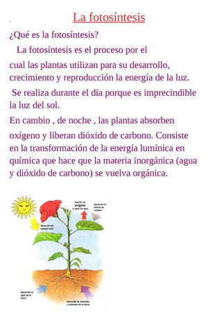 la fotosíntesis