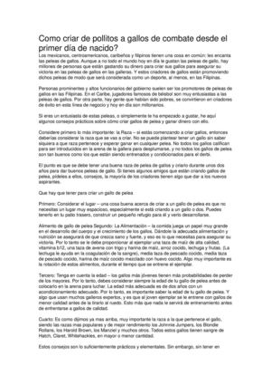 Como criar de pollitos a gallos de combate desde el primer día de nacido?
