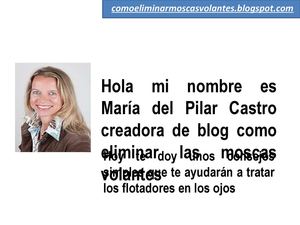 Como Eliminar Las Moscas Volantes | Consejos Prácticos y Sencillos