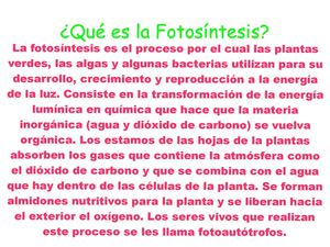 La Fotosíntesís