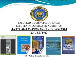 1 Sistema Digestivo