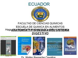 diapositivas de anatomia