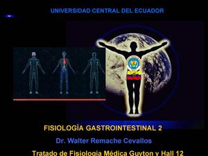 diapositivas de anatomia