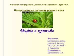 Мифы о крапиве