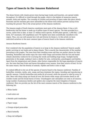 Types of Insects in the Amazon Rainforest