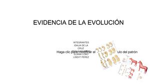 EVIDENCIAS DE LA EVOLUCIÓN - DIAPOSITIVAS