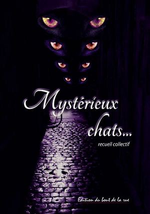 Mystérieux chats...