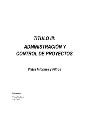 Vistas Informes y Filtros Ms Project