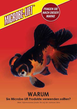 English  German Flipbook