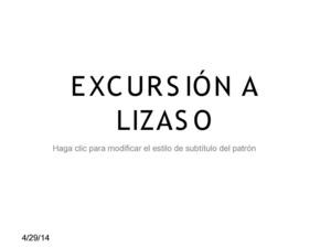 EXCURSIÓN A LIZASO