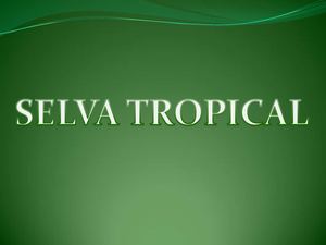 SELVA TROPICAL