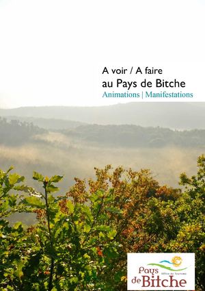 Manifestations et évènements de Mai 2014 au Pays de Bitche