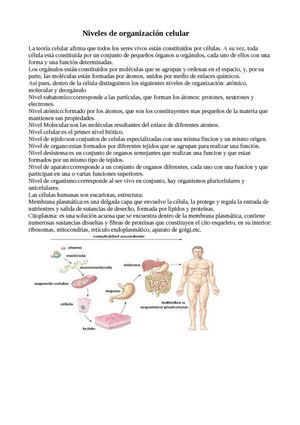 Organización Celular