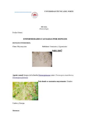 ENFERMEDADES DE LAS PLANTAS