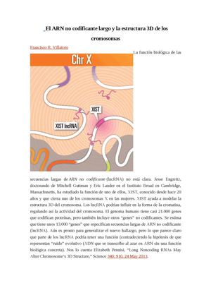 El ARN no codificante