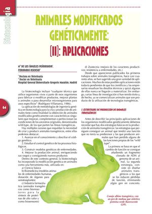 Genética de animales