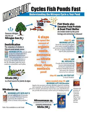 pondcyclechart