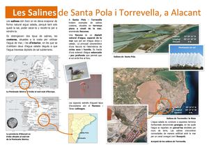Les Salines de Santa Pola i Torrevella, a Alcant - Claudia Ernica Vogel