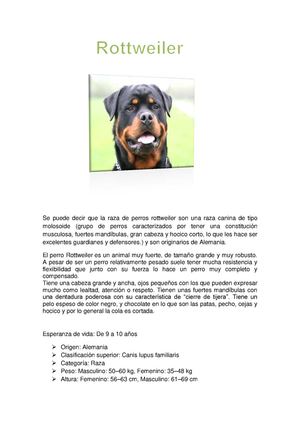 raza rottweiler document