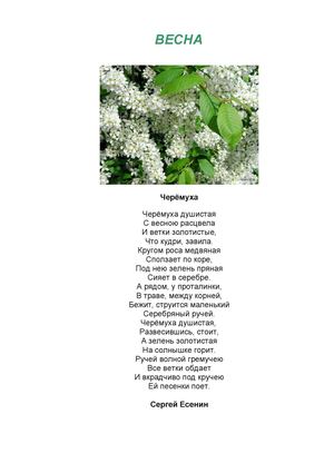 времена года