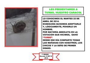 TURBO -DIARIO