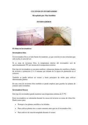 CULTIVOS EN INVERNADERO