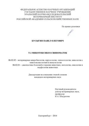 Диссертация Бусыгина П.О. (05.05.14)
