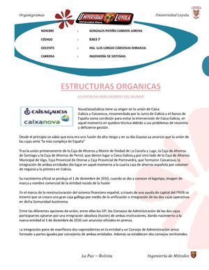 Organigramas de 20 empresas importantes
